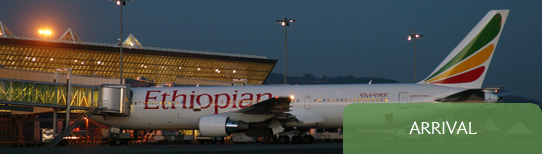 Ethiopian Airlines Airplane arrival on Addis AbabaBole international airport